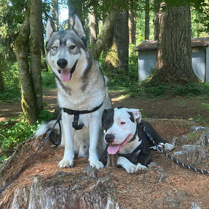 Meet your Posher, Jocelyn